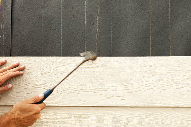 Affordable Siding Repair and Maintenance Services in Morganfield, KY